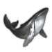 Humpback Whale.png