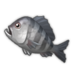 Black Porgy.png