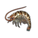 Tiger Prawn.png