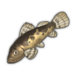 Freshwater Sleeper.png