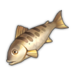 Golden Mandarin Fish.png