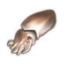 Cuttlefish.png
