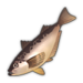Sailfin Sandfish.png