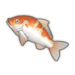Koi.png