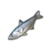 Anchovy.png