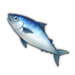 Mackerel.png