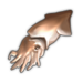 Squid.png