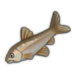 Minnow.png