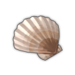 Yesso Scallop.png
