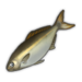 Amberjack.png