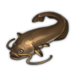 Catfish.png