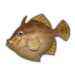 Thread-Sail Filefish.png