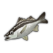 Saw-Edged Perch.png