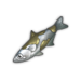 Sorrowfish.png