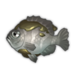 Poison Big Eye.png