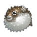 Porcupinefish.png