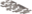 Abgestorbener Geweihkorallenwandfächer.png