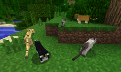 Katze – Das offizielle Minecraft Wiki