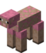 Schaf – Das offizielle Minecraft Wiki