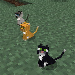 Katze – Das offizielle Minecraft Wiki
