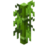 Bambus – Das offizielle Minecraft Wiki