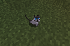 Katze – Das offizielle Minecraft Wiki