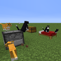 Katze – Das offizielle Minecraft Wiki