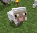 Schaf – Das offizielle Minecraft Wiki