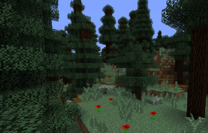 最高のマインクラフト 最高roofed Forest M Pixelmon 最高のマインクラフト 最高roofed Forest M Pixelmon