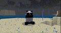 Panda – Official Minecraft Wiki