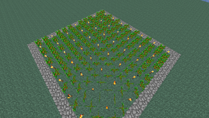 Tutorials Tree Farming Official Minecraft Wiki