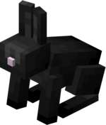 Rabbit – Official Minecraft Wiki