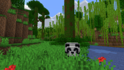 Jungle – Official Minecraft Wiki Jungle – Official Minecraft Wiki
