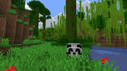 Jungle – Official Minecraft Wiki