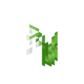 Lily of the Valley JE1 BE1.png