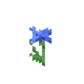 Cornflower JE1 BE1.png