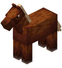 horses