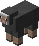 Gray Sheep JE1.png