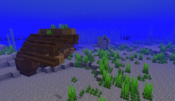 Ocean Official Minecraft Wiki
