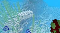 Fossil underwater near ocean ruins.jpg