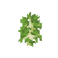 Birch Sapling JE2 BE2.png