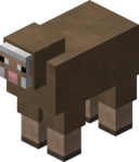 Brown Sheep JE1.png
