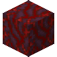 Crimson Hyphae Axis Y JE1.gif