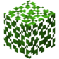 Acacia Leaves JE2.png