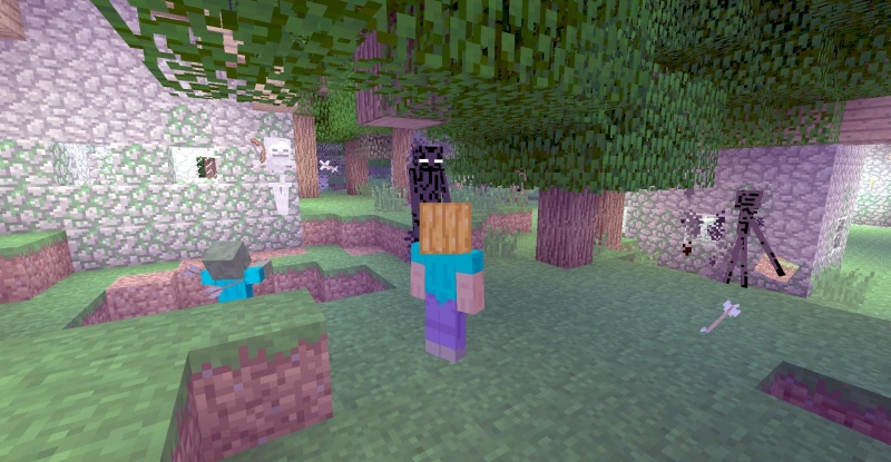 Plik:Ender new-1.jpg