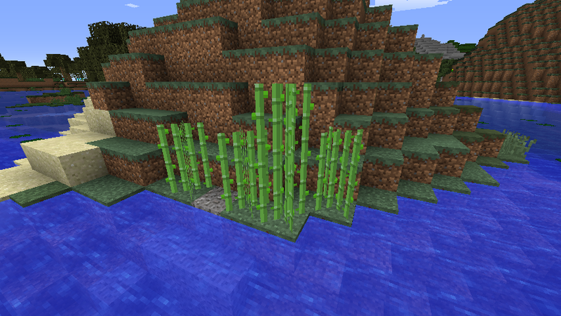 Plik:Bamboo2.png