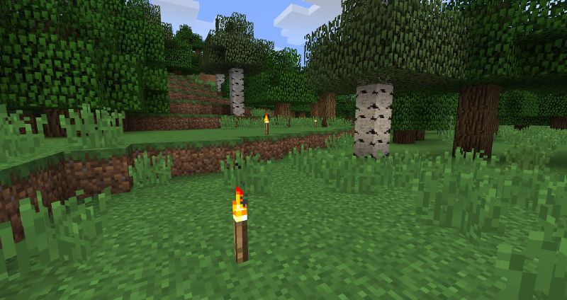 Plik:Torchmarker.jpg
