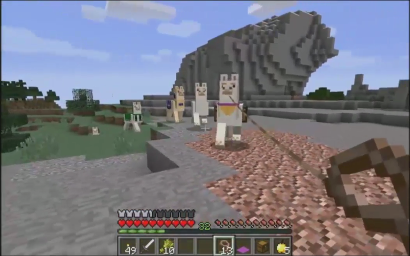 Plik:Minecon2016 10.png