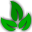 Herba v4
