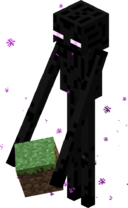 Странник Края с блоком.png